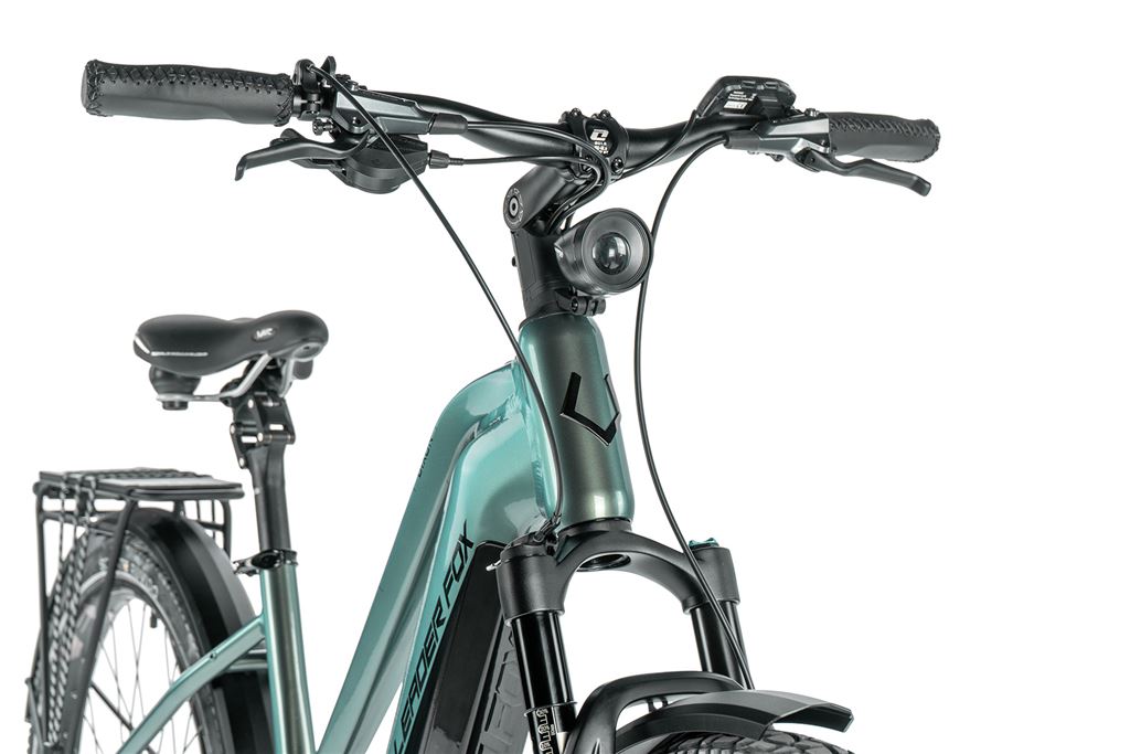 E-BIKE DIXON LADY 29,16,5-1, GREEN BOTTLE (PANASONIC)