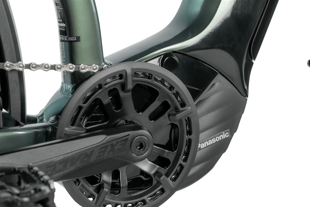 E-BIKE DIXON LADY 29,16,5-1, GREEN BOTTLE (PANASONIC)