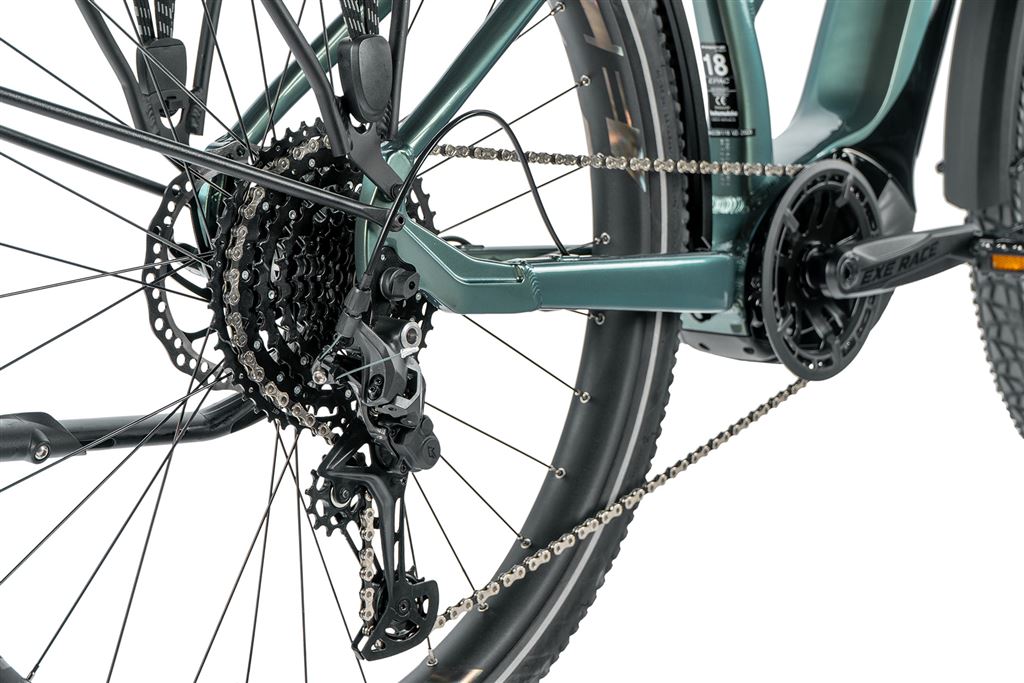 E-BIKE DIXON LADY 29,16,5-1, GREEN BOTTLE (PANASONIC)