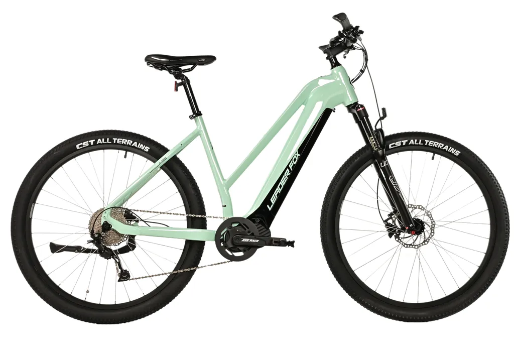 E-BIKE SWAN LADY 29, 20-3, LIGHT GREEN (MODEST)