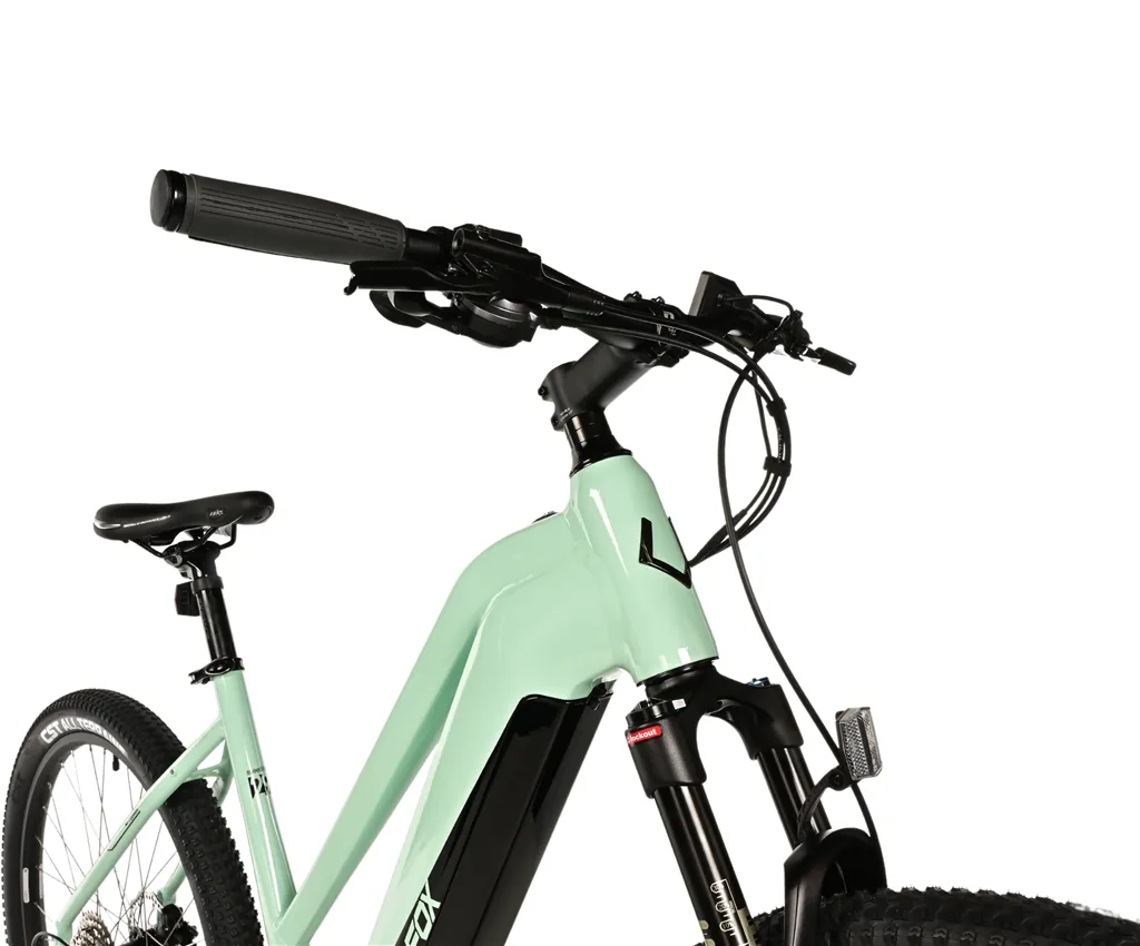 E-BIKE SWAN LADY 29, 20-3, LIGHT GREEN (MODEST)