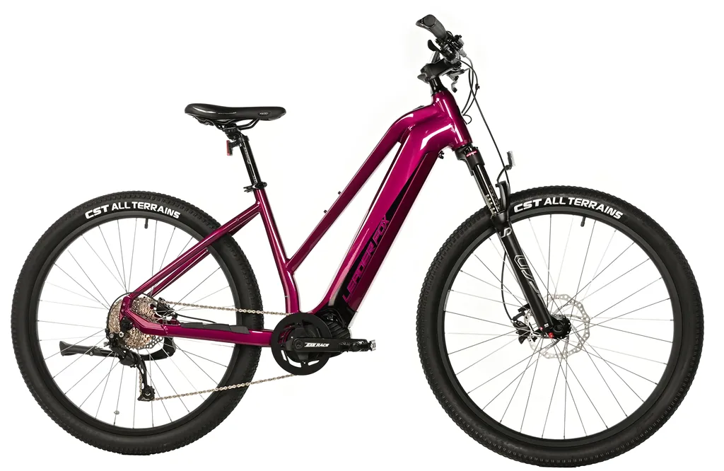 E-BIKE SWAN LADY 29, 18-2, VIOLET SHINY (MODEST)