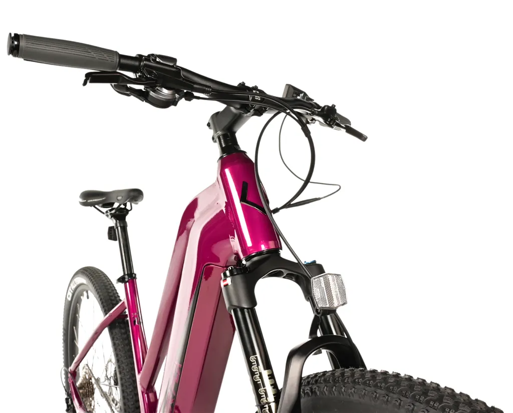 E-BIKE SWAN LADY 29, 18-2, VIOLET SHINY (MODEST)