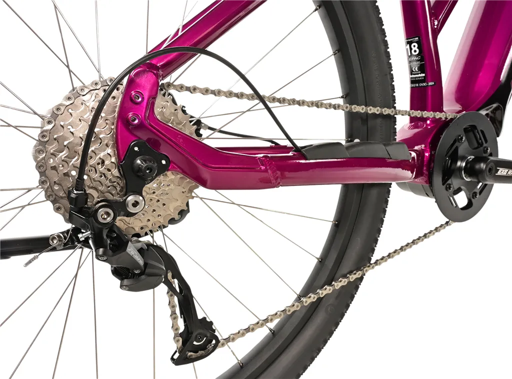 E-BIKE SWAN LADY 29, 18-2, VIOLET SHINY (MODEST)