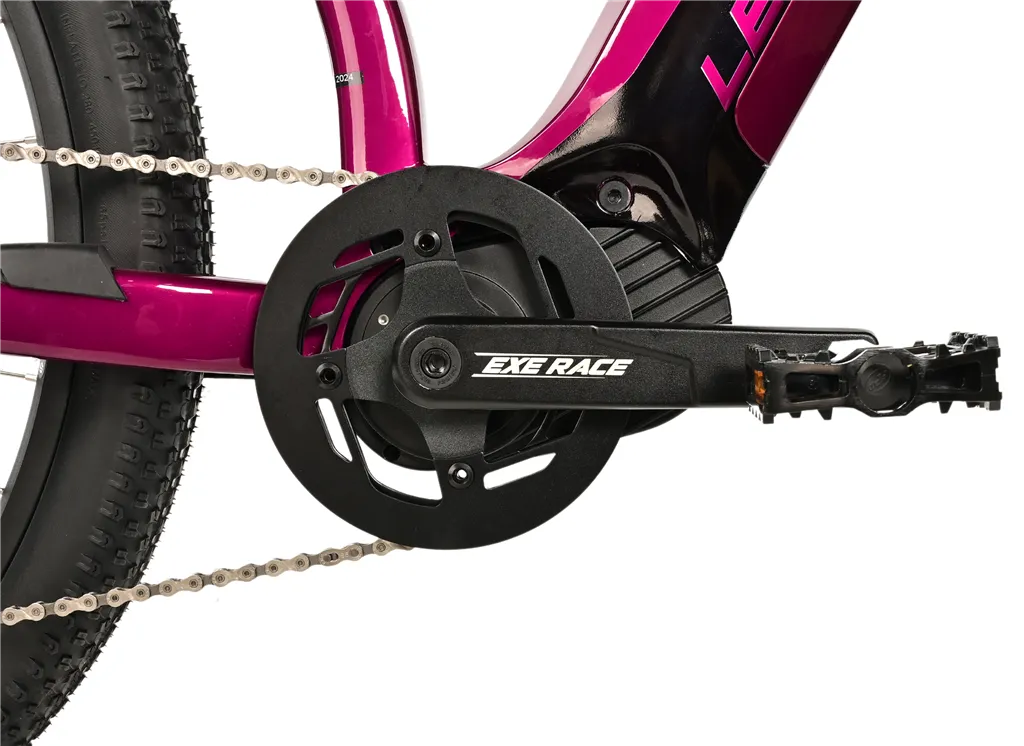 E-BIKE SWAN LADY 29, 18-2, VIOLET SHINY (MODEST)