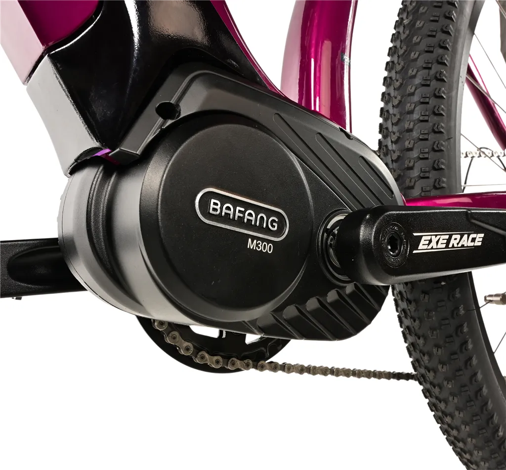 E-BIKE SWAN LADY 29, 18-2, VIOLET SHINY (MODEST)