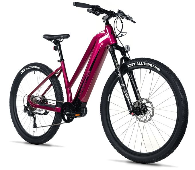 E-BIKE SWAN LADY 29, 18-2, VIOLET SHINY (MODEST)