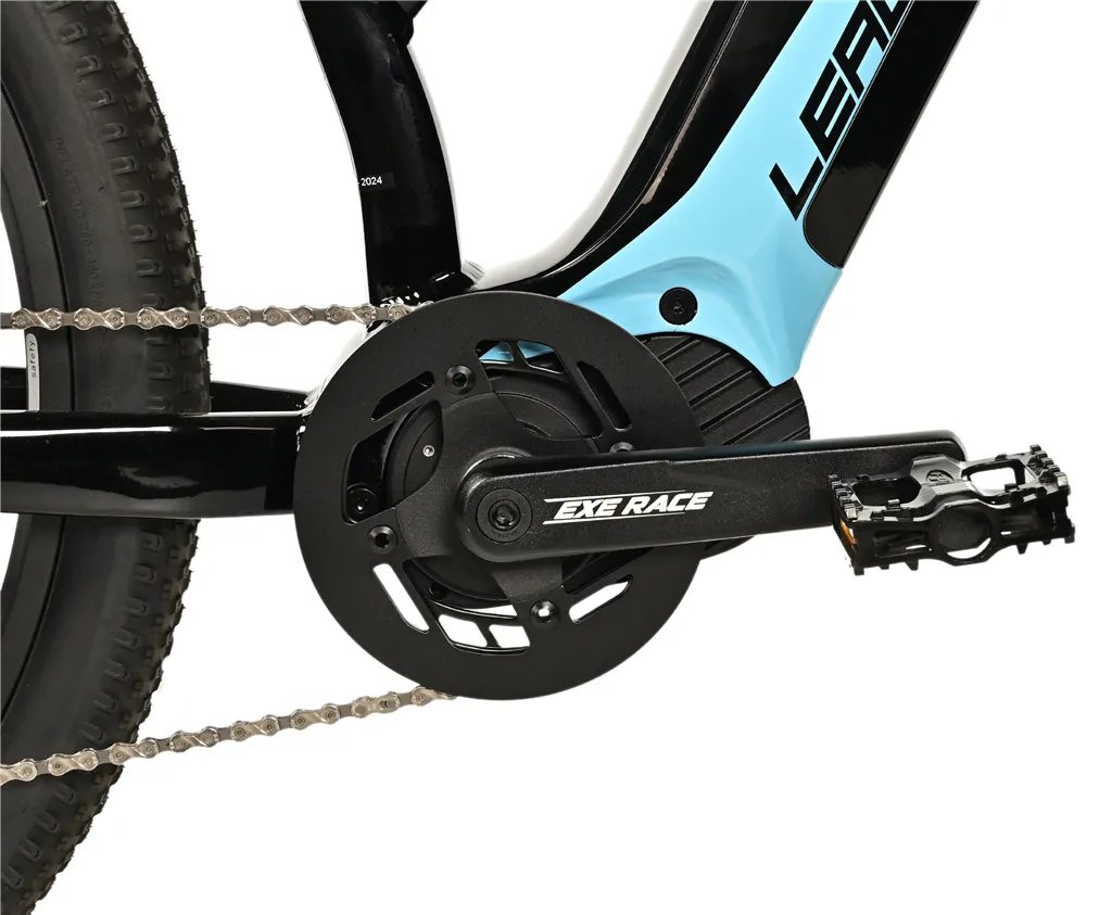 E-BIKE SWAN LADY 29, 18-1, BLACK SHINY  - blue sticker (MODEST)