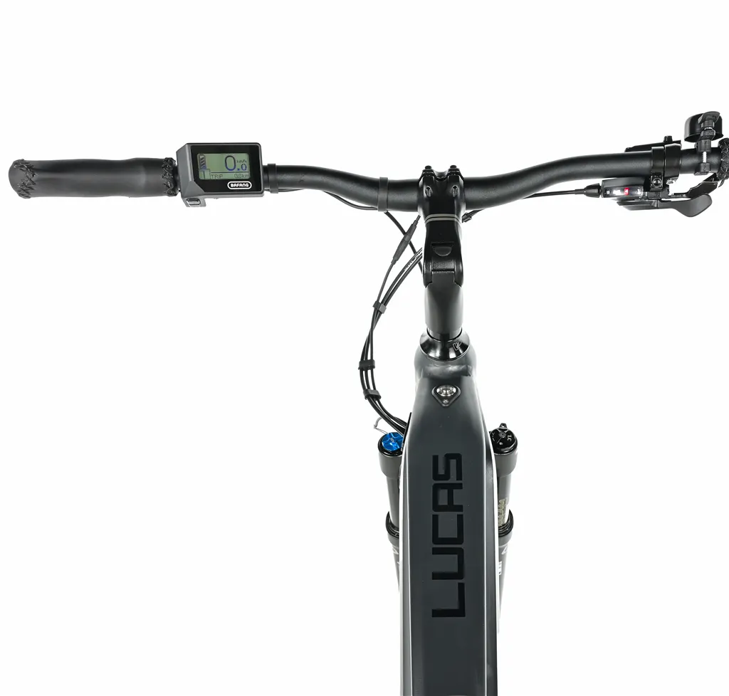 E-BIKE 28 LUCAS GENT 17,5-2, GREY MATT (M420)