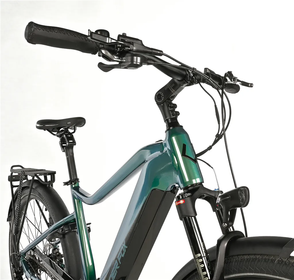 E-BIKE 28 LUCAS GENT 17,5-1, GREEN BOTTLE (M420)
