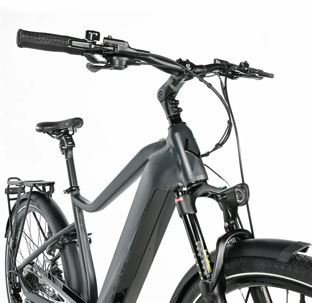 E-BIKE 28 LUCAS GENT 22,5-2, GREY MATT (M420)