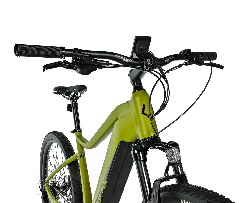E-BIKE AWALON GENT 29, 19,5-2, ARMY GREEN (M420)
