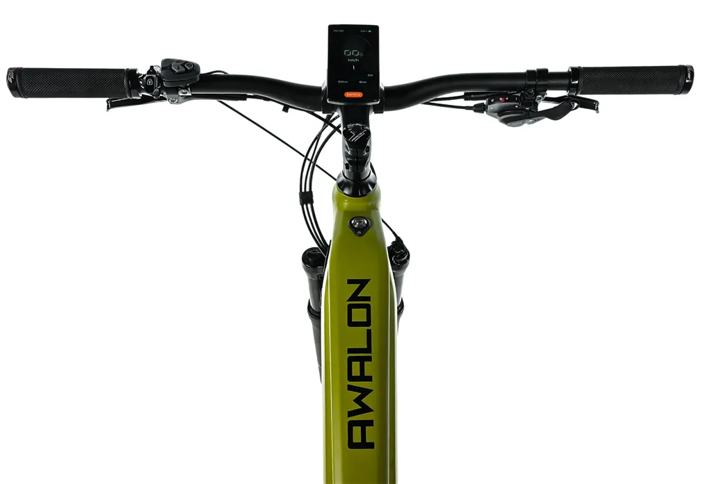 E-BIKE AWALON GENT 29, 21,5-2, ARMY GREEN (M420)