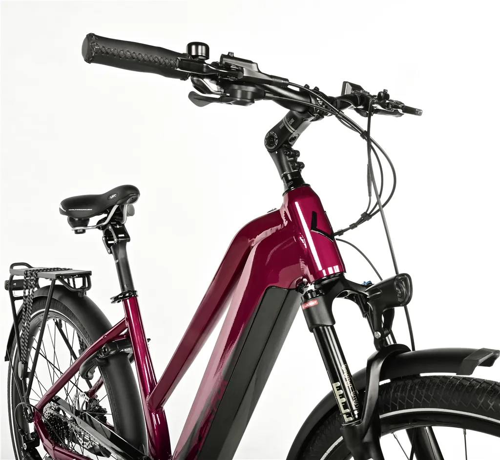 E-BIKE 28 LUCAS LADY 18-2, VIOLET SHINY (M420)