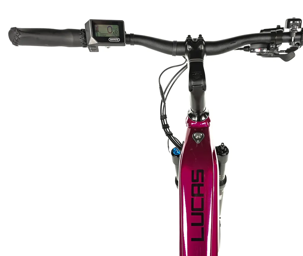E-BIKE 28 LUCAS LADY 18-2, VIOLET SHINY (M420)