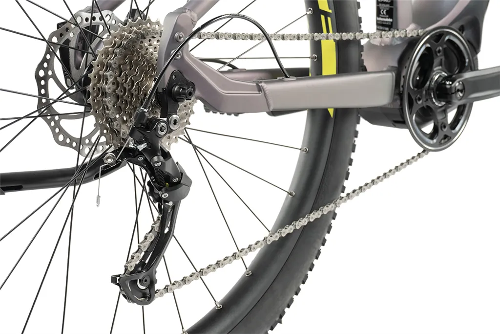E-BIKE AWALON LADY 29, 18-1, GREY CHANGING (M420)