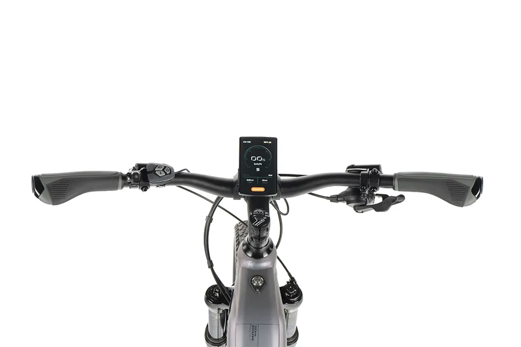 E-BIKE AWALON LADY 29, 18-1, GREY CHANGING (M420)