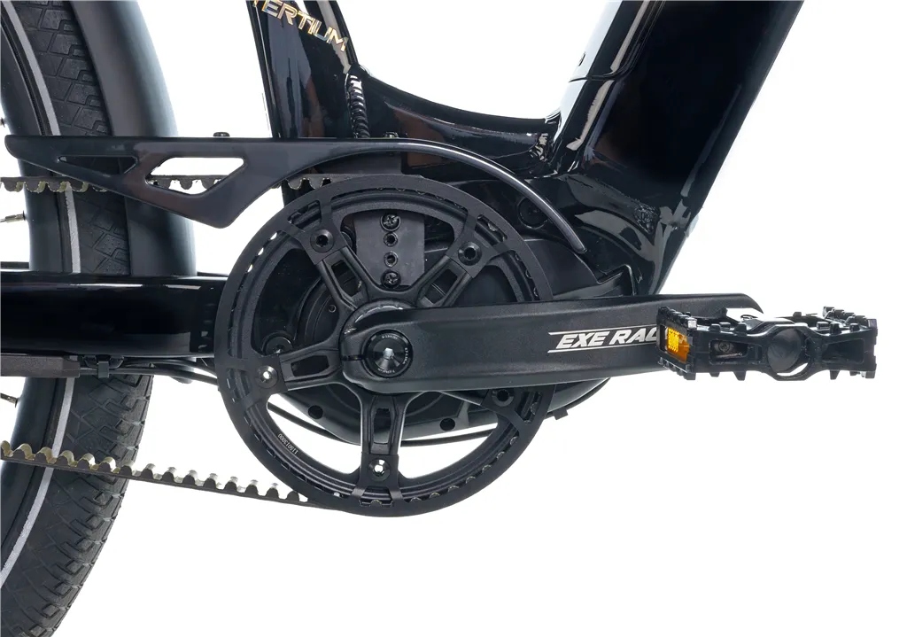 E-BIKE 28 TERTIUM CITY 18-1, BLACK SHINY (M420/NEXUS 8, BELT)