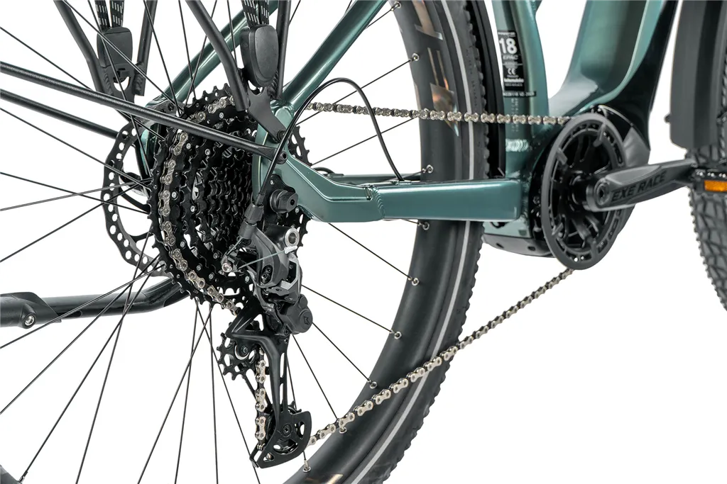 E-BIKE DIXON LADY 29,16,5-1, GREEN BOTTLE (PANASONIC)