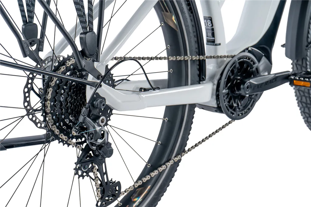E-BIKE DIXON LADY 29,16,5-2, WHITE SHINY (PANASONIC)