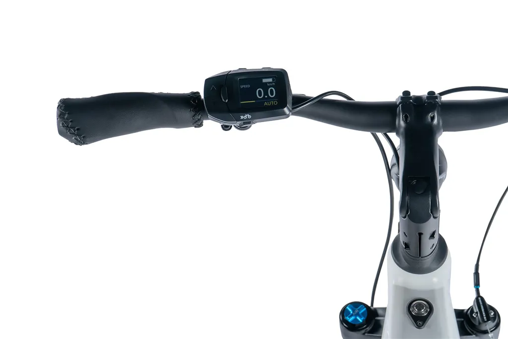 E-BIKE DIXON LADY 29,16,5-2, WHITE SHINY (PANASONIC)