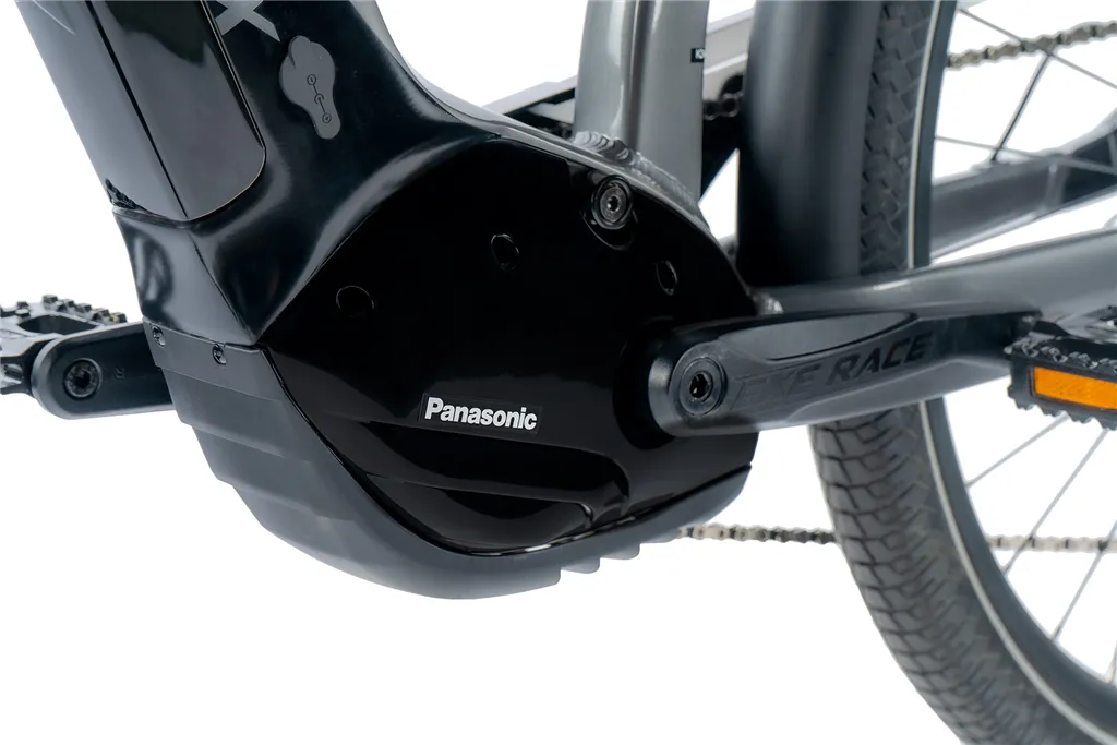 E-BIKE DIXON GENT 29,20,5-1,  GRAY SHINY (PANASONIC)