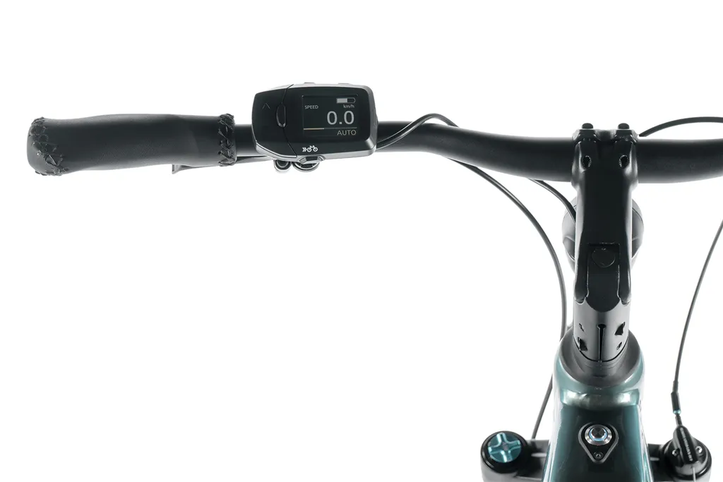 E-BIKE DIXON GENT 29,22,5-2, GREEN BOTTLE (PANASONIC)