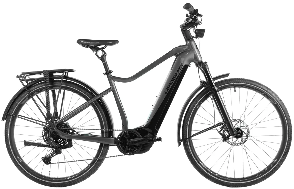 E-BIKE DIXON GENT 29,22,5-1,  GRAY SHINY (PANASONIC)
