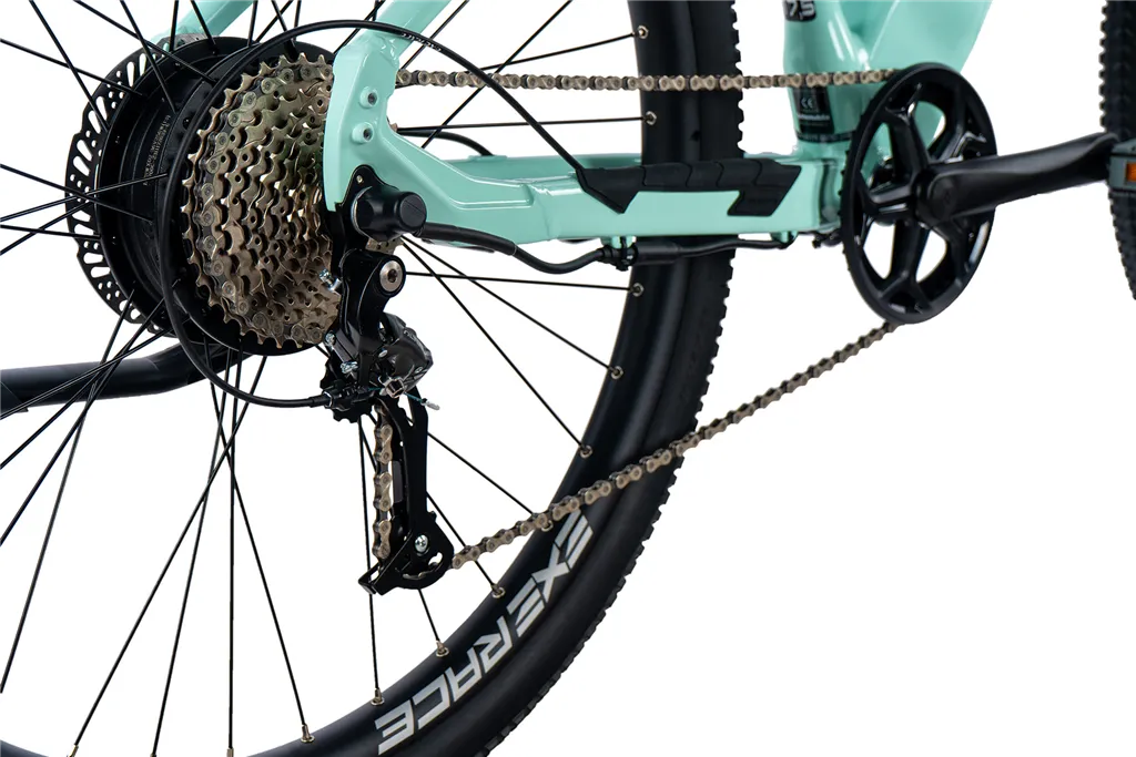 E-BIKE 29 ARIMO  LADY 16,5-3, GREEN LIGHT (REAR MOTOR)
