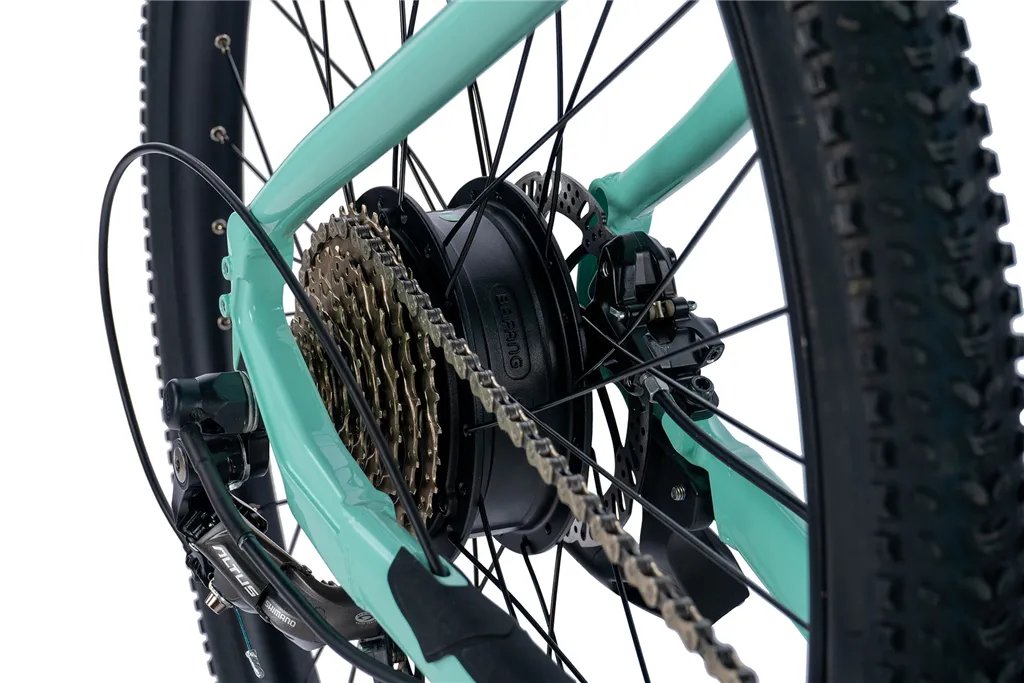 E-BIKE 29 ARIMO  LADY 17,5-3, GREEN LIGHT (REAR MOTOR)