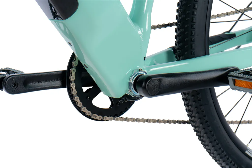 E-BIKE 29 ARIMO  LADY 17,5-3, GREEN LIGHT (REAR MOTOR)