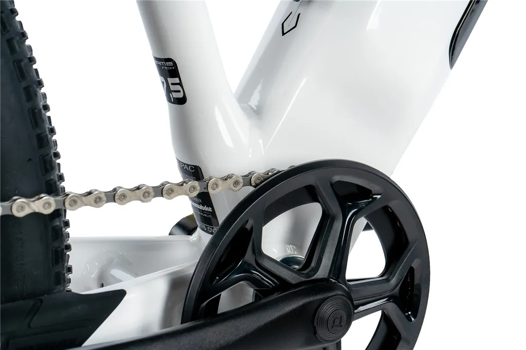 E-BIKE 29 ARIMO LADY 17,5-1 WHITE SHINY (REAR MOTOR)
