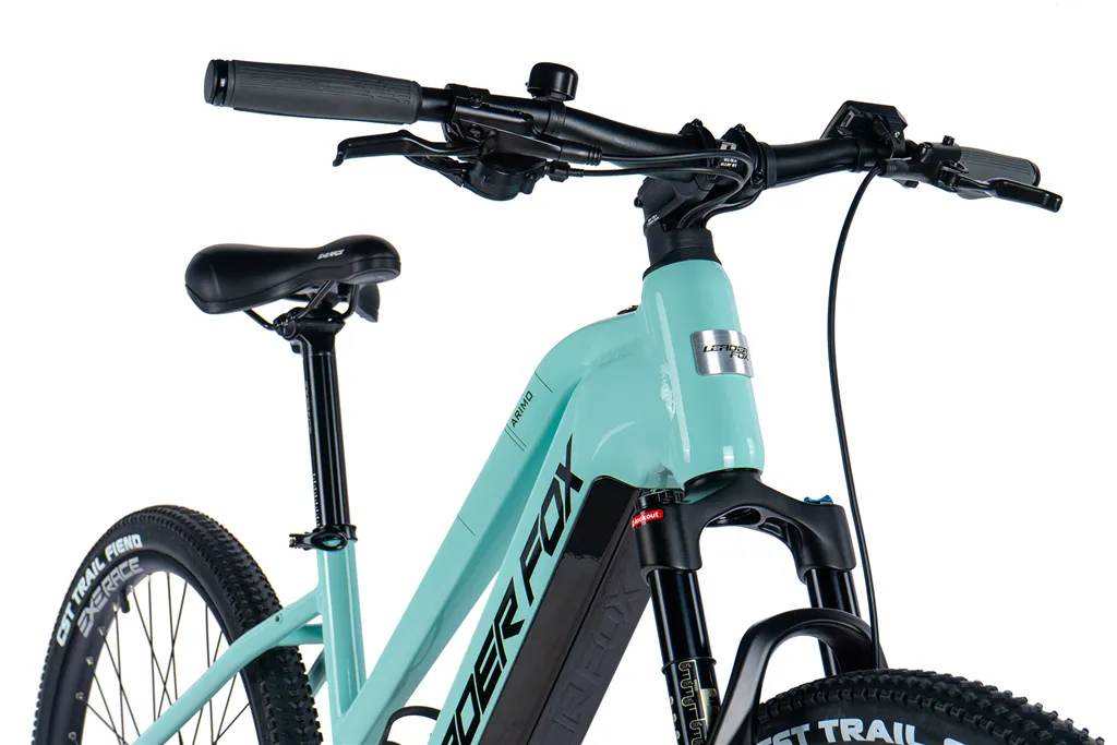 E-BIKE 29 ARIMO  LADY 19,5-3, GREEN LIGHT (REAR MOTOR)