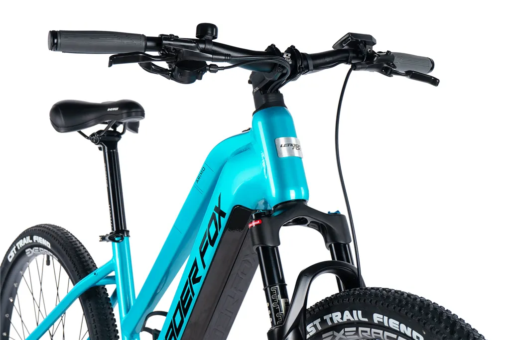 E-BIKE 29 ARIMO  LADY 17,5-2, BLUE LIGHT (REAR MOTOR)