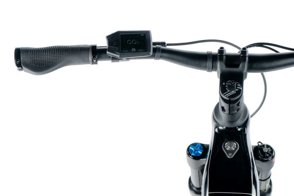 E-BIKE 29 ARIMO GENT 19-1 BLACK SHINY (REAR MOTOR)