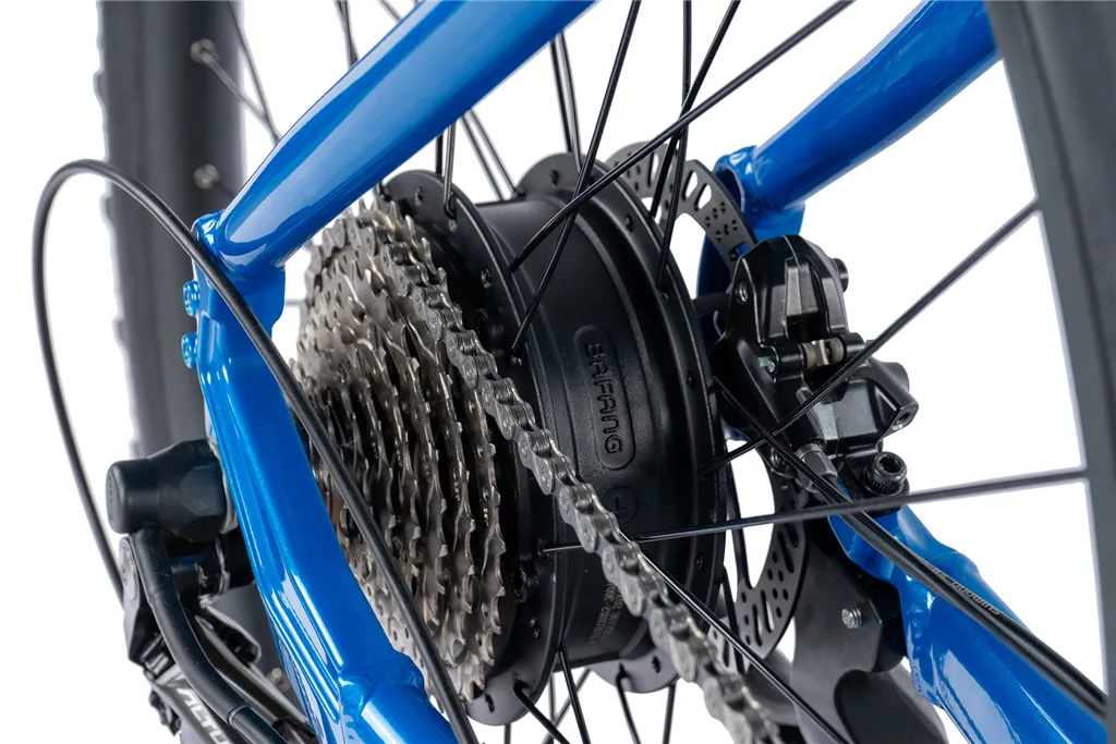 E-BIKE 29 ARIMO  GENT 17,5-2 BLUE (REAR MOTOR)