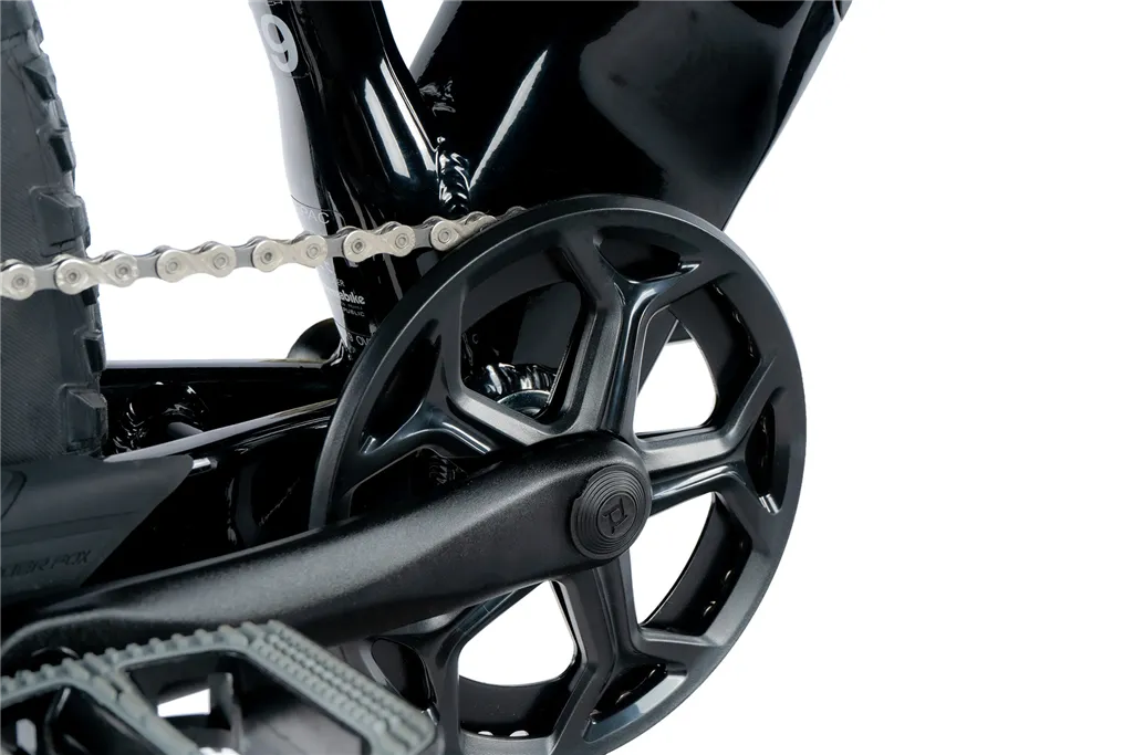 E-BIKE 29 ARIMO GENT 17,5-1 BLACK SHINY (REAR MOTOR)