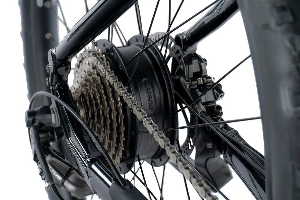 E-BIKE 29 ARIMO GENT 17,5-1 BLACK SHINY (REAR MOTOR)