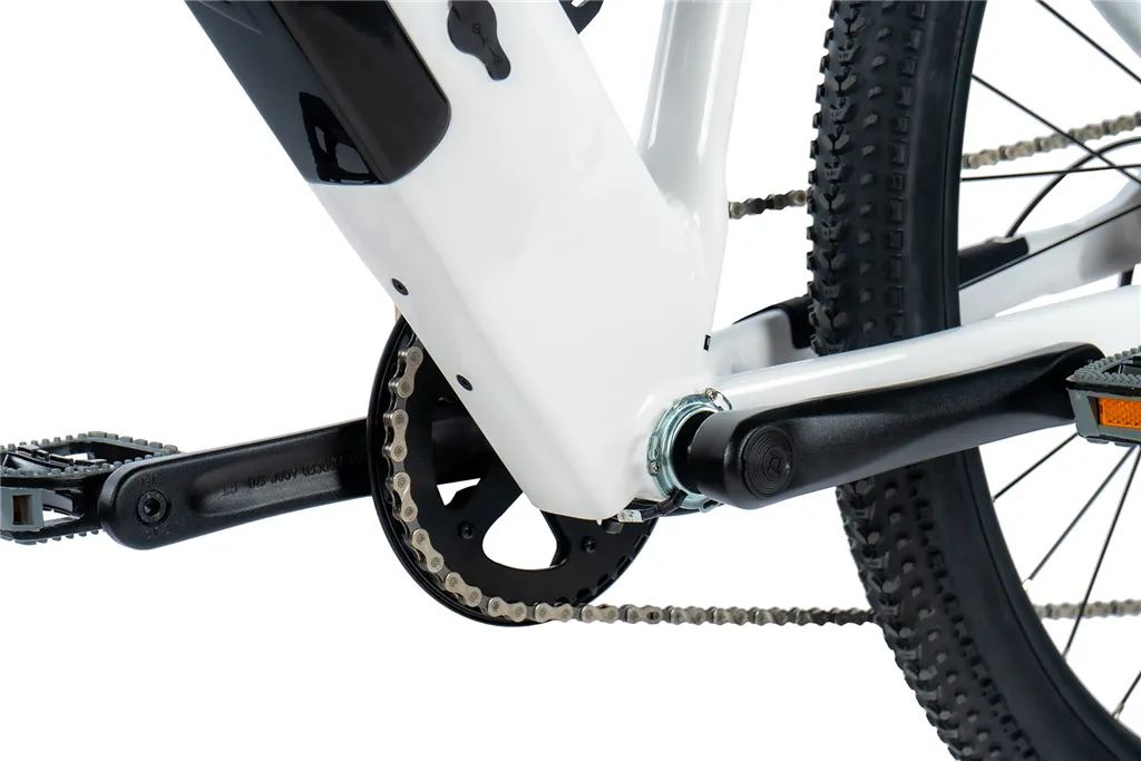 E-BIKE 29 ARIMO LADY 16,5-1 WHITE SHINY (REAR MOTOR)