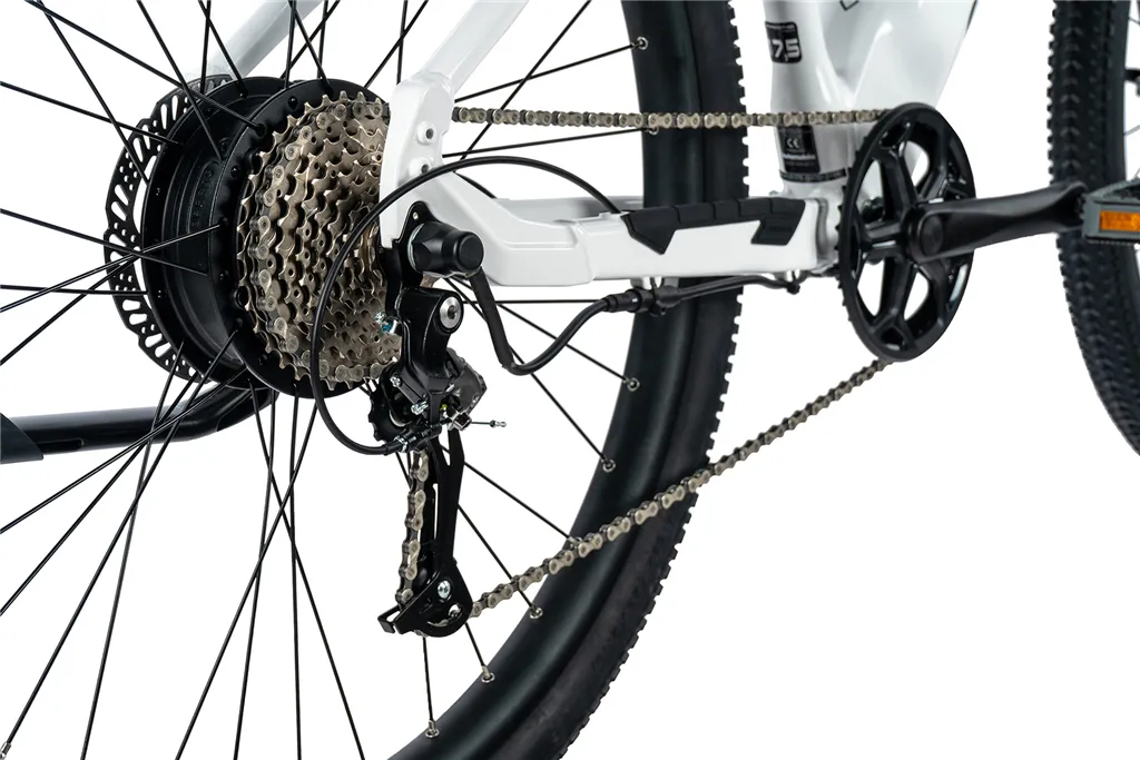 E-BIKE 29 ARIMO LADY 19,5-1 WHITE SHINY (REAR MOTOR)