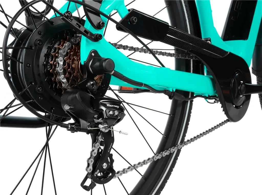 E-BIKE 28 INDUKTORA 20-5, GREEN (rear motor)