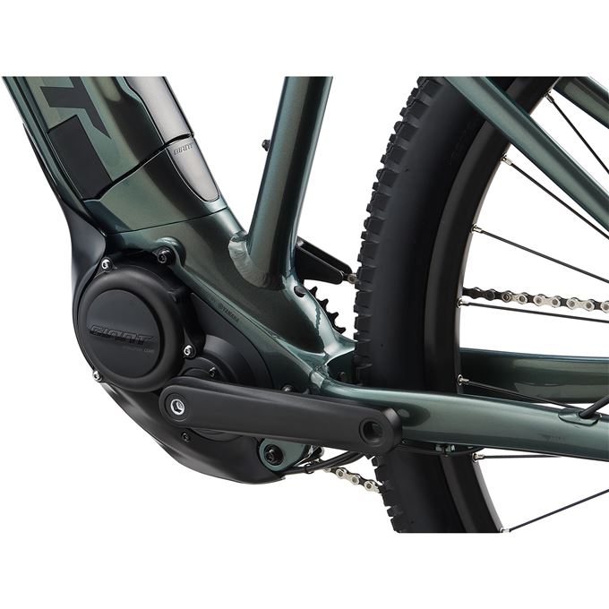 Talon E+ 1 29er L Balsam Green M24