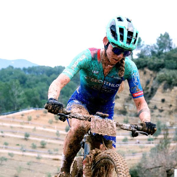 VITTORIA Barzo 29x2.4 XC Race Brown-blk-blk G2.0