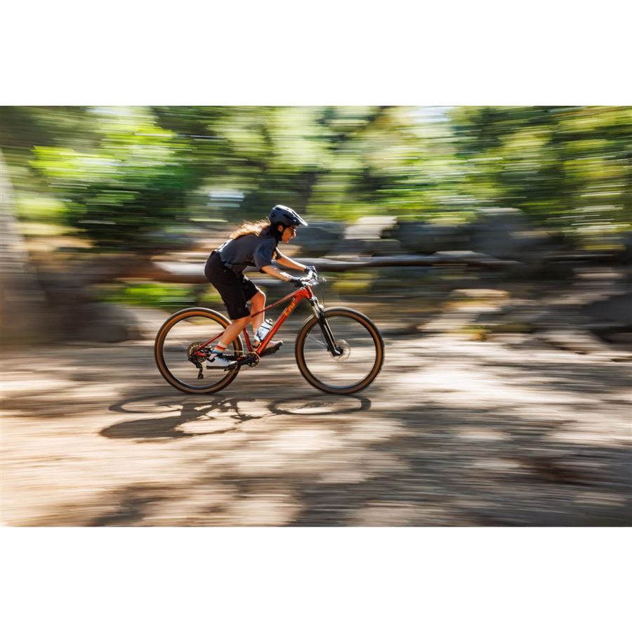 Tempt 29 2 L Mars Dust