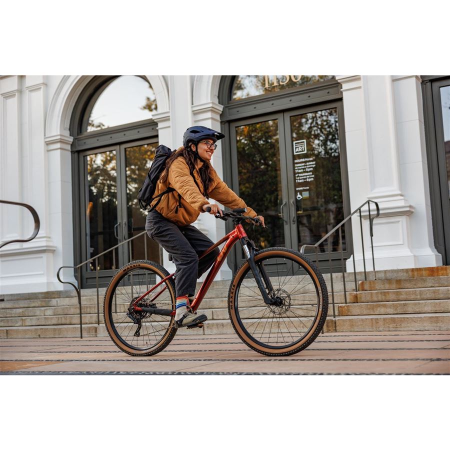 Tempt 29 2 L Mars Dust