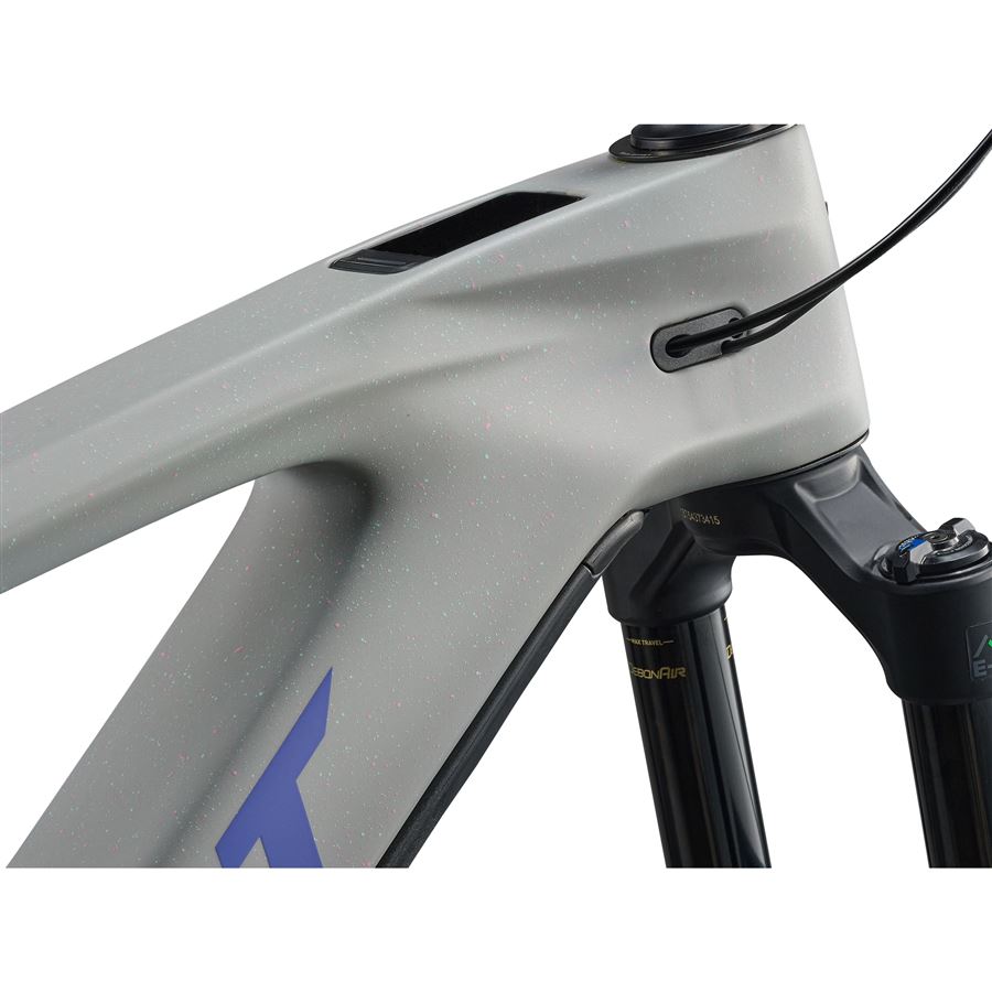 Reign Advanced E+ 2 L Moon Dust