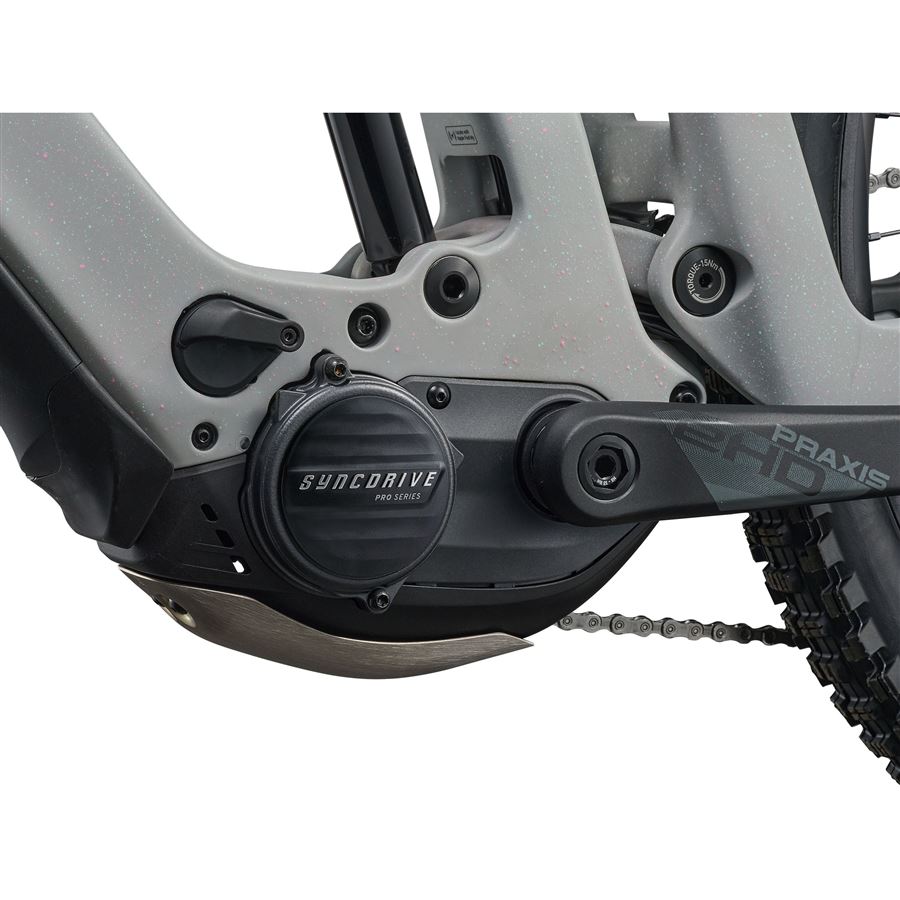 Reign Advanced E+ 2 L Moon Dust