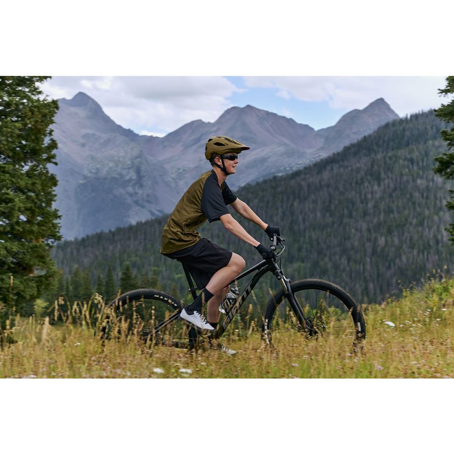 Talon 29 3 M Frost Silver