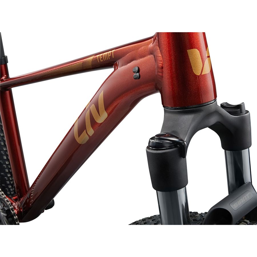 Tempt 29 2 S Mars Dust