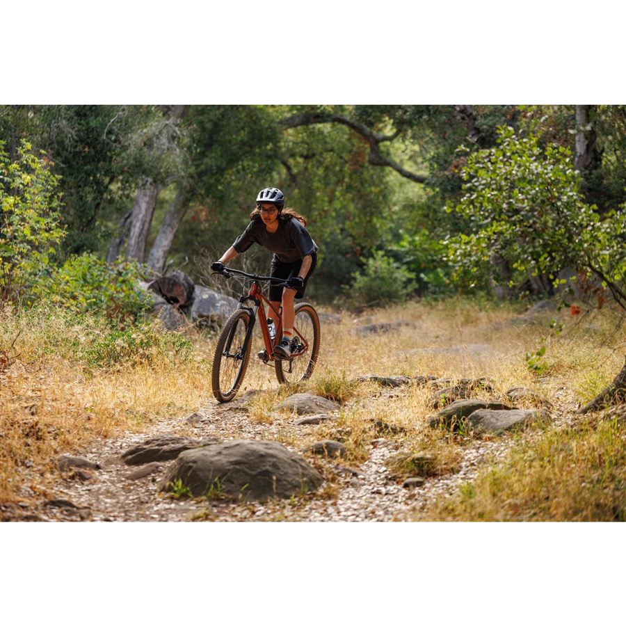 Tempt 29 2 S Mars Dust